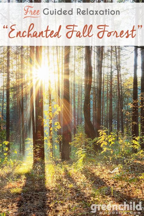 Guided Relaxation Enchanted Fall Forest