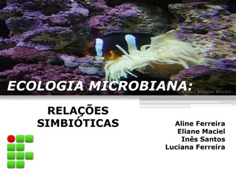 Slide Microbiologia2 2 Ppt