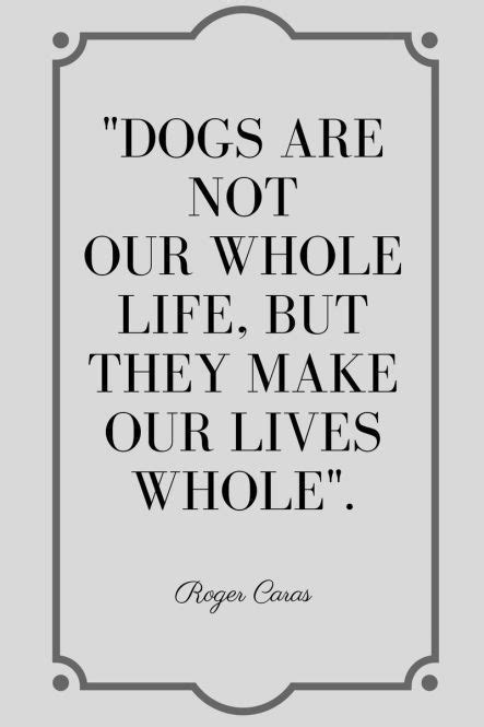 10 Amazing And Inspirational Dog Quotes With Images Rescue Quotes