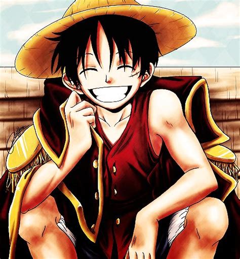 Flower Crown Luffy X Reader By Choithaliasoe On Deviantart