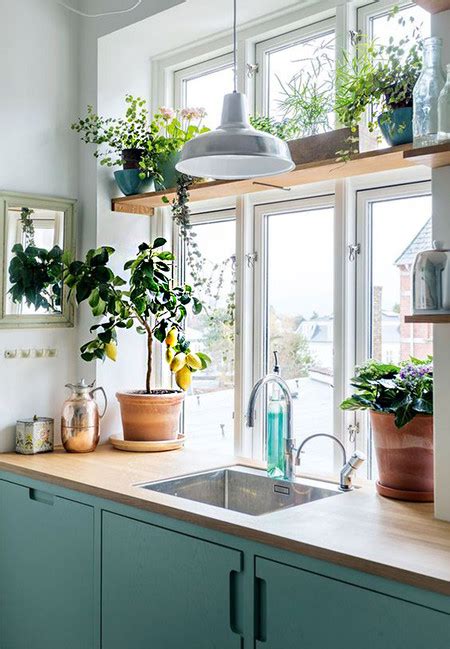 Decorar con plantas es una de las mejores ideas de interiorismo que se me ocurren y por muchos motivos. 17 ideas prácticas para decorar la cocina con plantas y ...