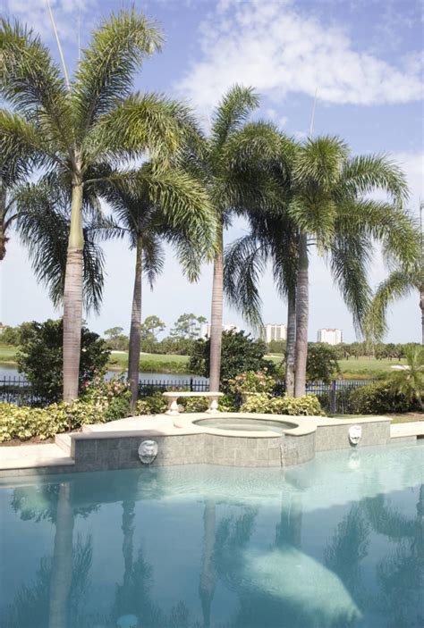 Screen planting is a popular green solution. 30 Spectacular Backyard Palm Tree Ideas