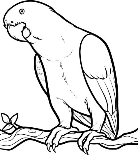 Parrot Animals Coloring Pages ~ Best Coloring Pages For Kids
