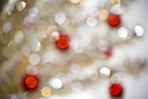 Christmas Tree Bokeh Background Free Stock Photo Public Domain Pictures