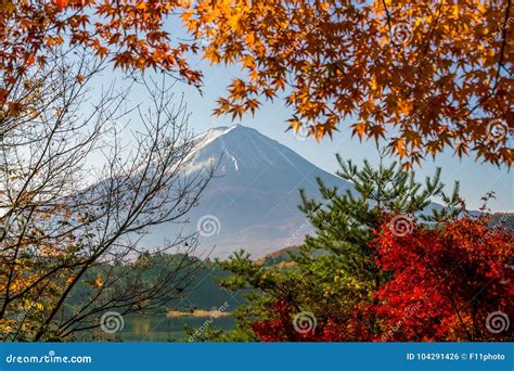 Mt Fuji In Autumn With Red Maple Leaves Stock Photo Image Of Autumn