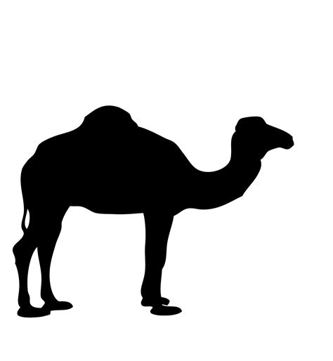 อันดับหนึ่ง 96 ภาพ Camel แบรนด์ประเทศอะไร ครบถ้วน