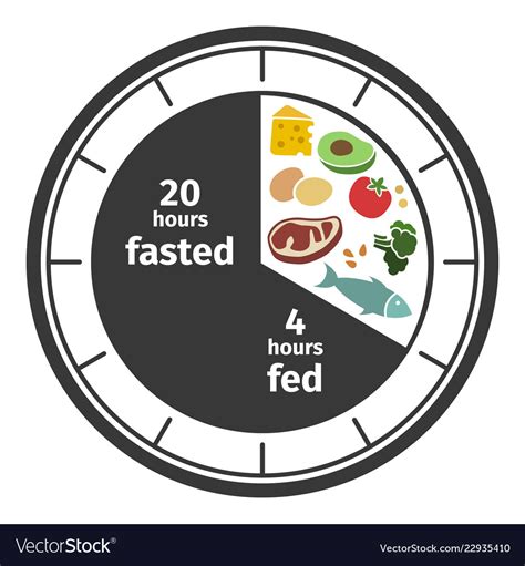 Scheme And Concept Of Intermittent Fasting Clock Vector Image