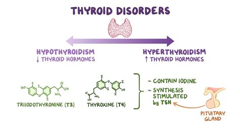 Medications For Thyroid Disorders Nursing Pharmacology Osmosis Video