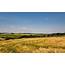 Summer Corn Field Images  HD Desktop Wallpapers 4k
