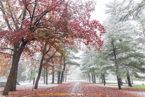 October Snow Who Got The Most Snowfall In Massachusetts