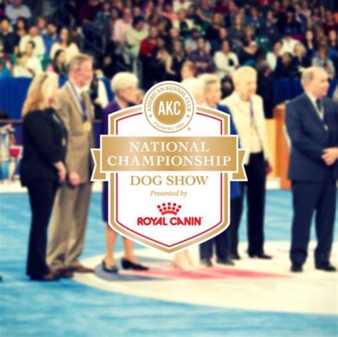 Preview Of Akc National Championship Presented By Royal Canin Doggies