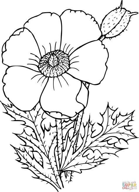 Wildflower Coloring Page Free Printable Coloring Pages