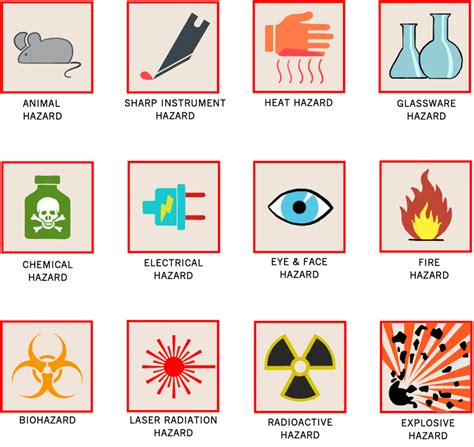 What Are The Safety Symbols Biology