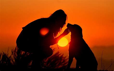 Dog Lover Wallpapers Wallpaper Cave