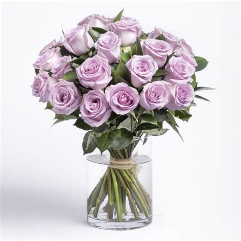 24 Purple Roses Vase Online T And Flowers