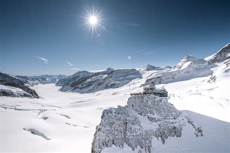 2023 Swiss Alps Day Trip From Lucerne Jungfraujoch And Bernese Oberland