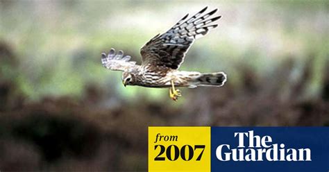 prince harry quizzed by police about shooting of rare birds uk news the guardian