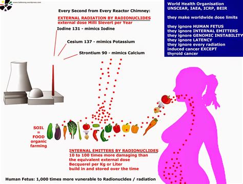 The aerosol or spallation frangible powder produced by impact and combustion of depleted uranium munitions can potentially contaminate wide areas around the impact sites, leading to possible inhalation by human beings. URANIUM PLUTONIUM NUCLEAR MOX WASTE POWER PLANT MINING ...