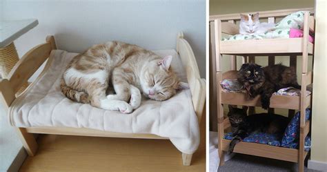 Japanese Cat Owners Re Purposed Ikeas Doll Beds For Cats