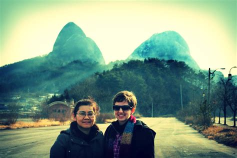 Journey To South Korea Encased Umbilical Cords And Piles Of Rocks