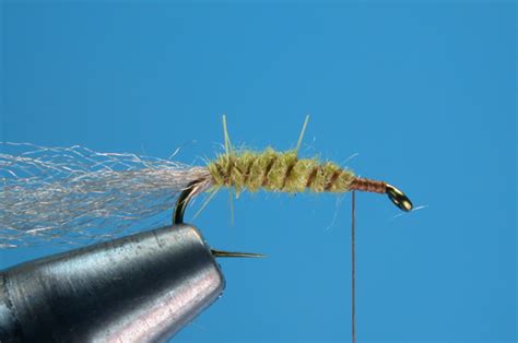 Fly Tying Sparkle Caddis Pupae Fly Fisherman