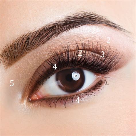 Add contrast by blending a deep shade into creases. How To Apply Eye Shadow | Permanent makeup eyeliner, No eyeliner makeup