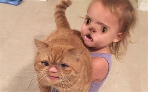 The Most Hilarious And Disturbing Face Swap Fails You Will See Today