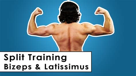 Training, anatomie, dehnung und übungen. Bizeps & Latissimus Split Trainingsplan für zu Hause ...