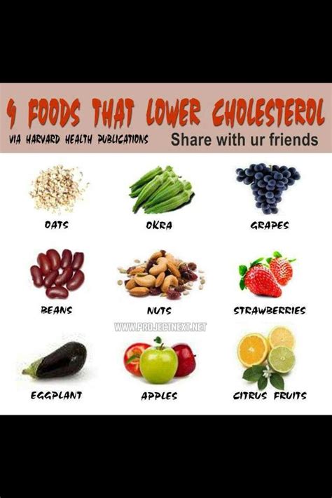 Did you know that you'd lower down your cholesterol level by indulging in only. lower cholesterol! | Cholesterol foods, Cholesterol ...