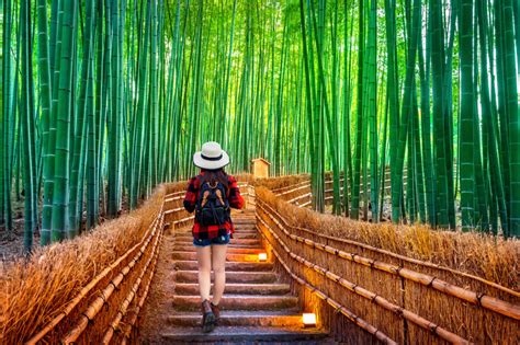 Top 50 Things To Do In Kyoto Must See Must Do And Must Experience
