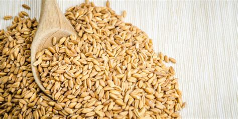 Cereales Sanos ¿cuáles Son Los Más Beneficiosos Calorias Tipos Y Más