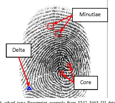 Figure 1 From Fingerprint Reference Point Detection Based On Local