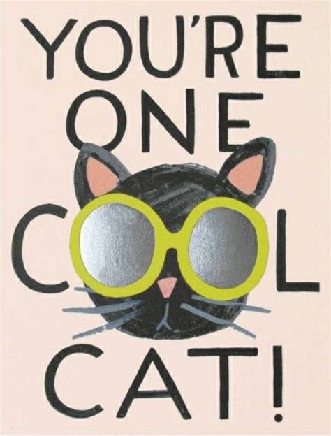 Youre One Cool Cat Cool Cats Cat Greeting Cards Cat Cards