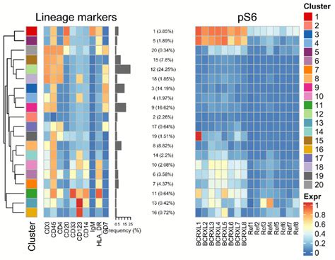Heatmap Of The Median Marker Intensities Of The 10 Lineage Markers And