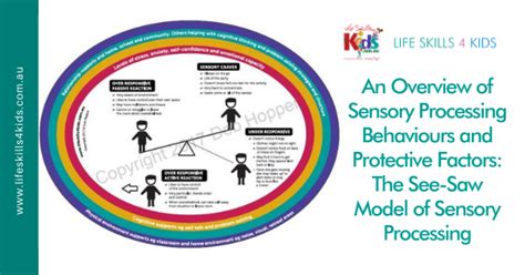 An Overview Of Sensory Processing Behaviours And Protective Factors