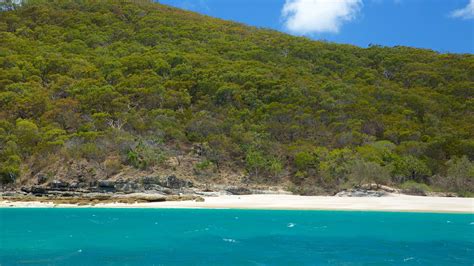 Keppel club is one of the leading venues for banquet function, birthday party, dinner & dance in singapore to host your celebration for you and your guests! Great Keppel Island Holidays: Cheap Great Keppel Island ...