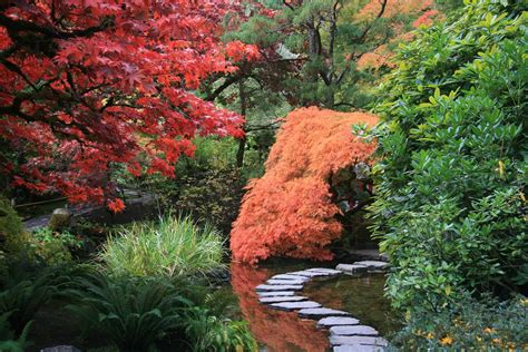 Garten bonsai gartnerei schwitter ag. Die Magie eines asiatischen Gartens - Gärtnerei Schwitter AG