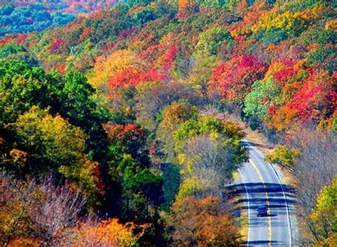 This Road Trip Takes You To The Best Fall Foliage In Oklahoma