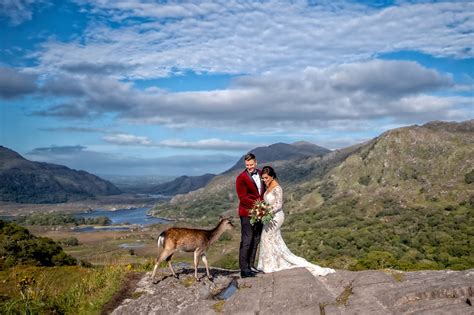 Oh Deer This Australian Couple Were Photobombed In Their Kerry Wedding Pictures Extraie
