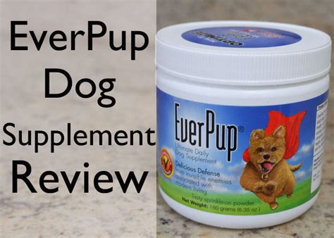 Everpup Dog Supplement Review 2024 Pet Shopzy