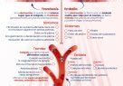 Trombosis Vs Embolia Infograf A