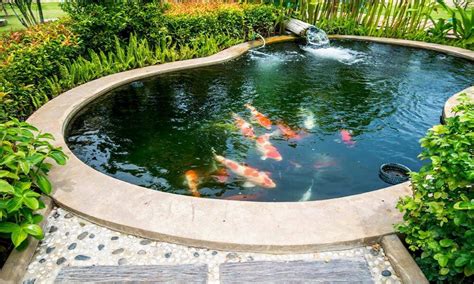 Noun a body of water smaller than a lake, sometimes artificially formed, as by damming a stream. Create and Maintain a Healthy Pond Ecosystem