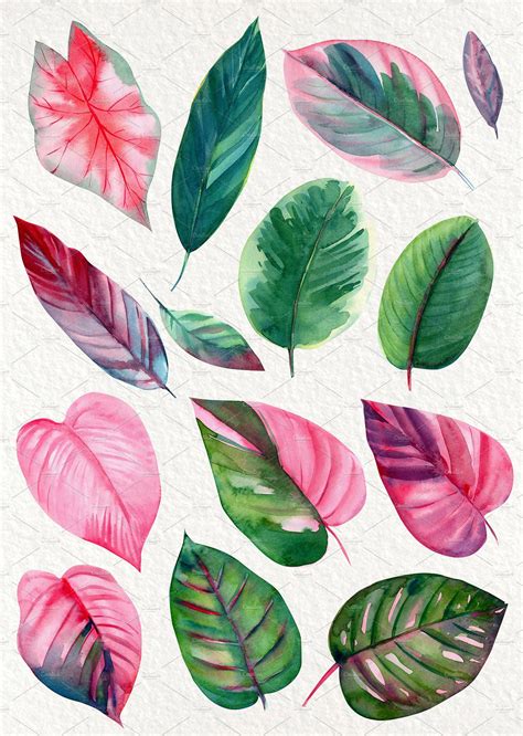 Pink And Green Tropical Leaves Plant Art Watercolor Plants Plant