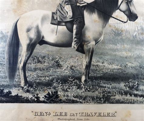 1876 Lithograph Of General Lee On Traveler Sold Civil War Artifacts