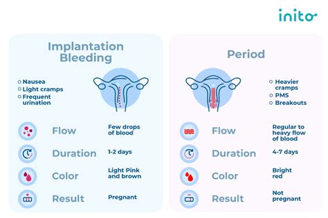 Implantation Bleeding Vs Periods What Does Implantation Bleeding Look