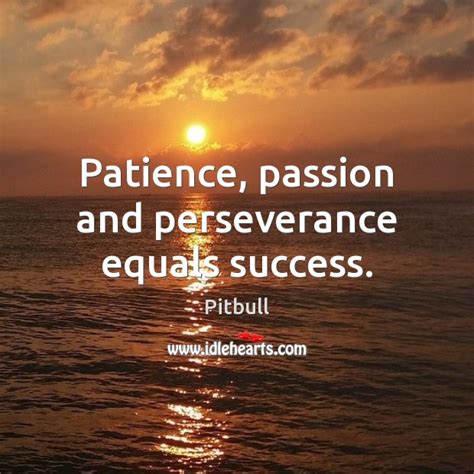 Patience Passion And Perseverance Equals Success Idlehearts