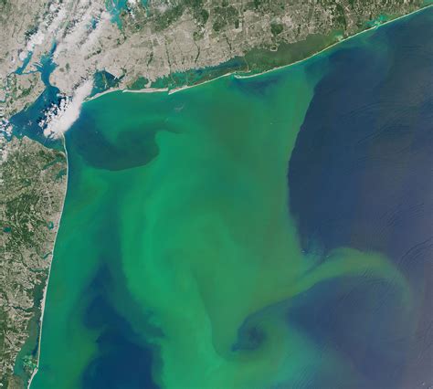 Space Lasers Shed New Light On Phytoplankton Blooms