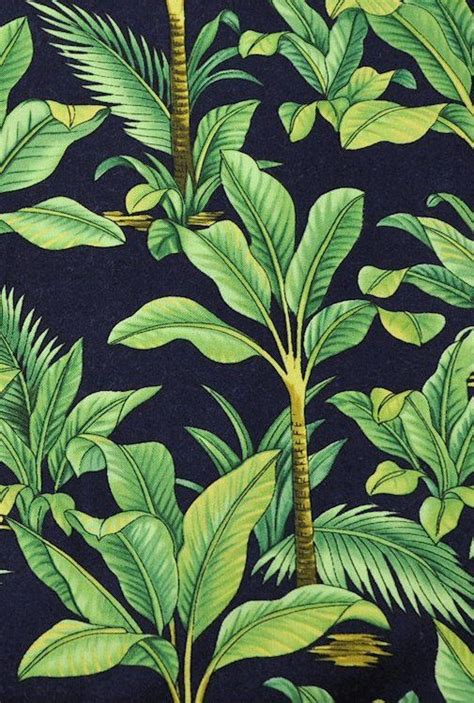 Two tropical jungle monstera leves with water spots. 47+ Tropical Leaf Wallpaper Patterns on WallpaperSafari