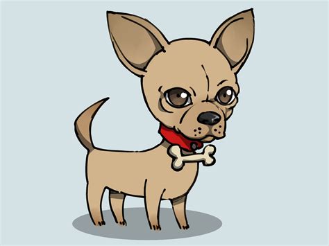 Drawings of dog free download best drawings of dog on clipartmag com. How to Draw a Chihuahua (with Pictures) - wikiHow