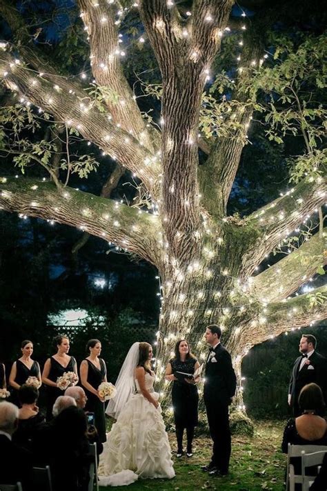 Fairy Light Oak Tree Ceremony Setting Pennsylvania Wedding Wedding